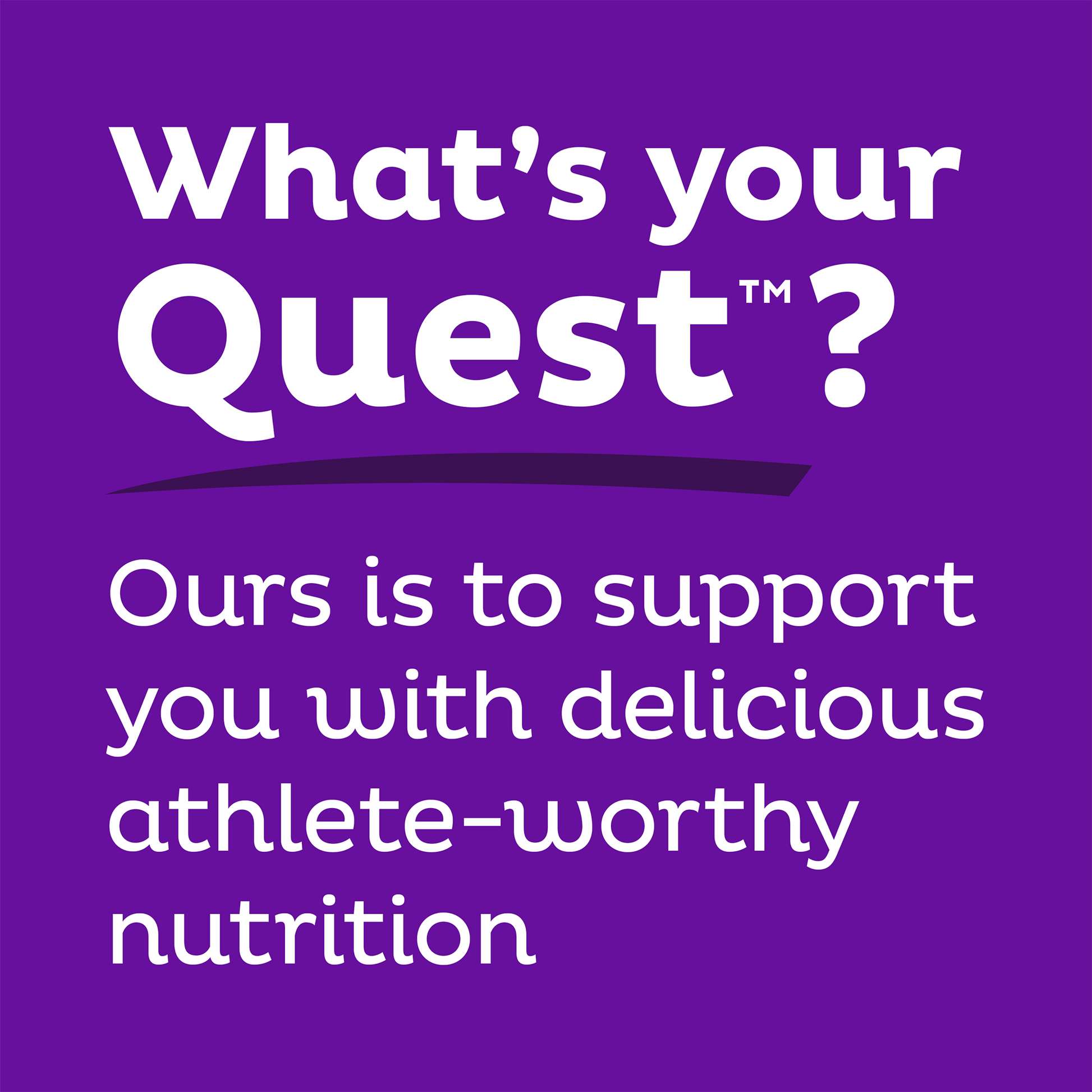 double-chocolate-chunk-protein-bars-i5 qst-000241_double-chocolate-chunk-protein-bars_9.png